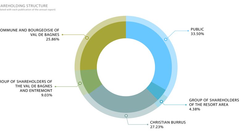 Shareholding structure