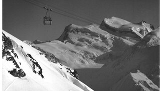 Gentianes, Verbier