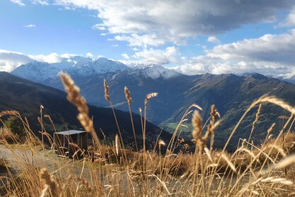 Herbstwanderung zwischen Verbier und La Tzoumaz