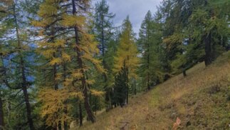 Wanderung zwischen Verbier und La Tzoumaz
