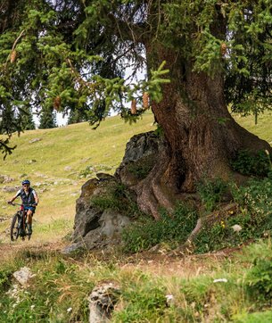 E-Bike Festival, Verbier