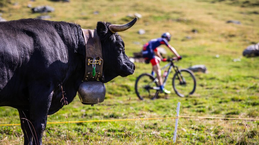 Grand Raid BCVs, Verbier | © Etienne Bornet