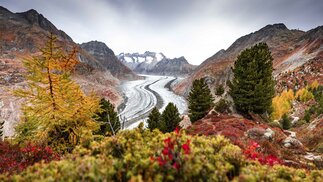 Aletsch Arena | © Frederic Huber