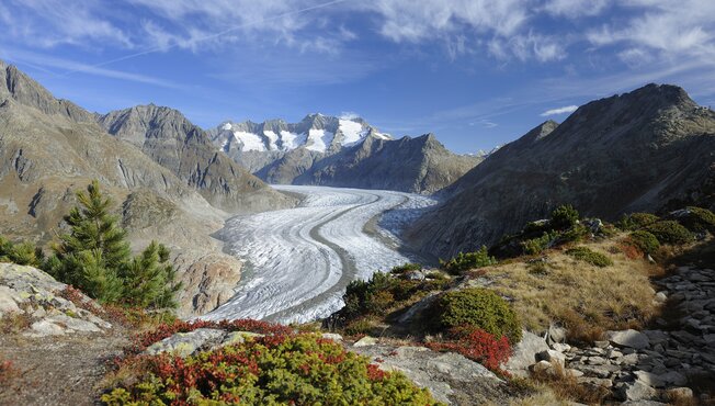 Aletsch Arena
