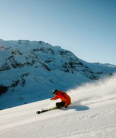 Adelboden-Lenk