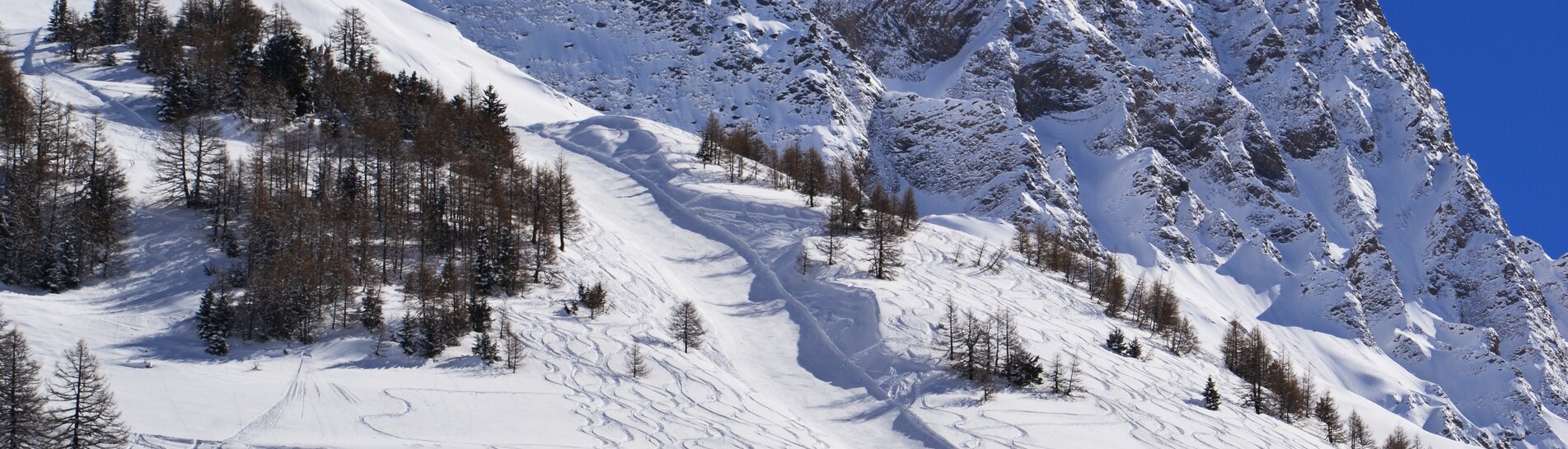 Pays du Saint-Bernard