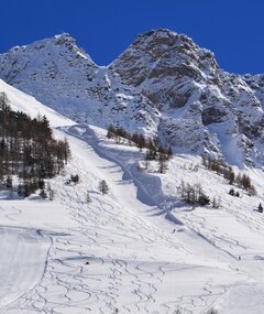 Pays du Saint-Bernard