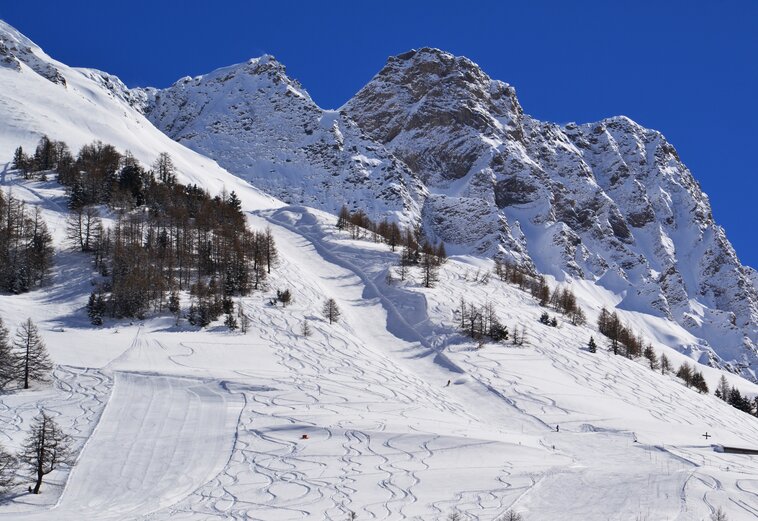 Pays du Saint-Bernard
