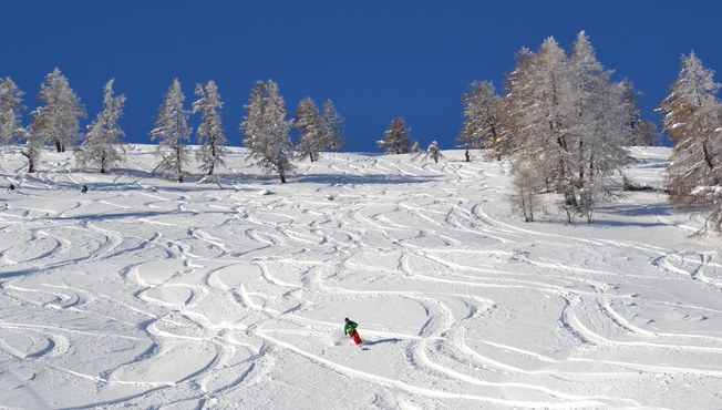 Pays du Saint-Bernard