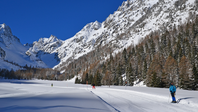 Pays du Saint-Bernard