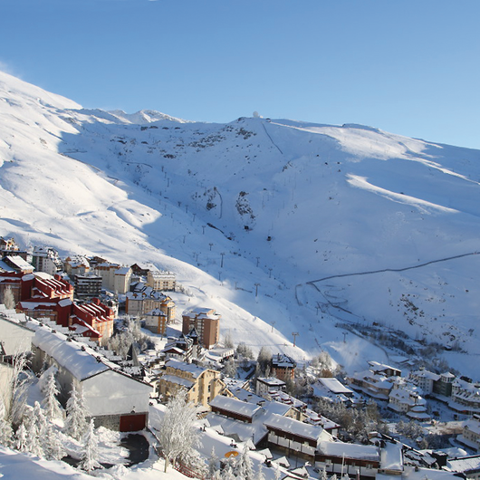Sierra Nevada Certusa