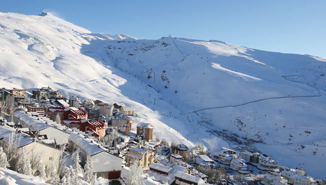 Sierra Nevada Certusa