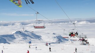 Sierra Nevada Certusa