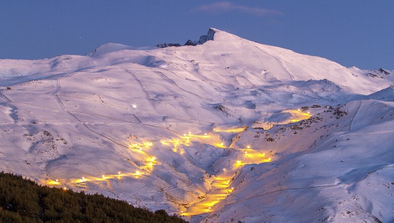 Sierra Nevada Certusa