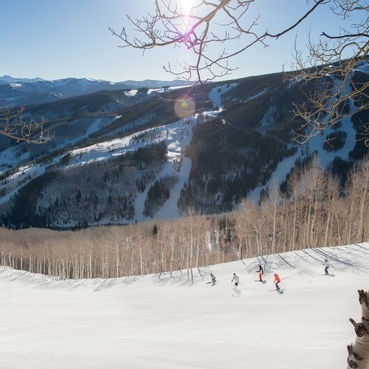 Beaver Creek
