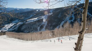 Beaver Creek