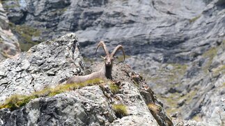 Sentier des Chamois | © Magalie Rouere