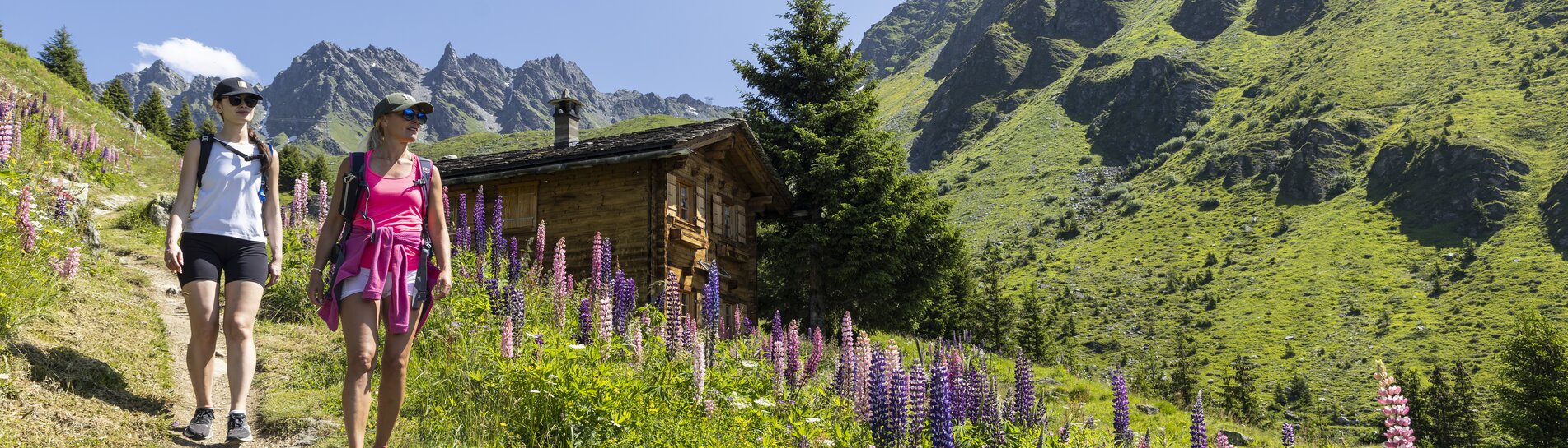 Verbier-Clambin via Les Shlerondes