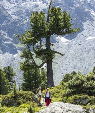 Japanischer Garten, Verbier 4Vallées