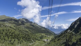 Gentianes sur Tortin, Verbier 4Vallées