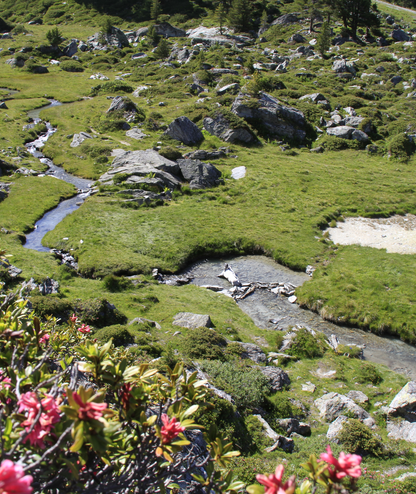 Jardin Japonais, Verbier 4Vallées