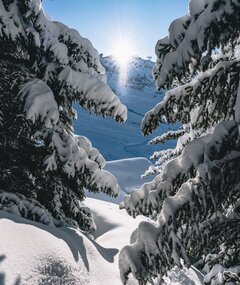 Winter Aktivitäten, Skigebiet Verbier, Schweiz