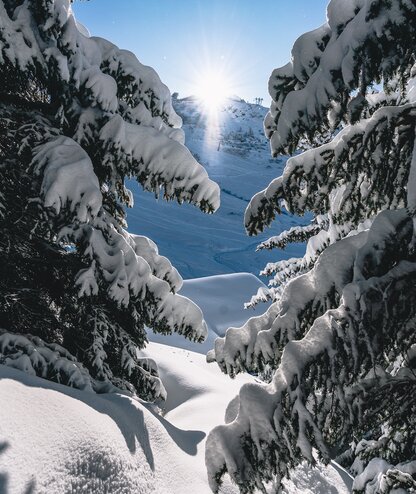 Winter Aktivitäten, Skigebiet Verbier, Schweiz